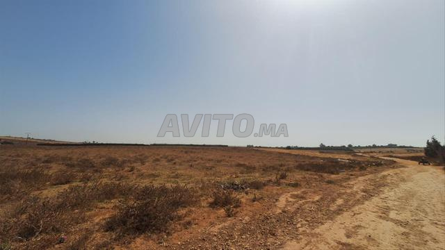 Terrain de 20 000 m² à vendre – Sidi Moussa Majdoub