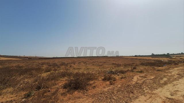 Terrain de 20 000 m² à vendre – Sidi Moussa Majdoub
