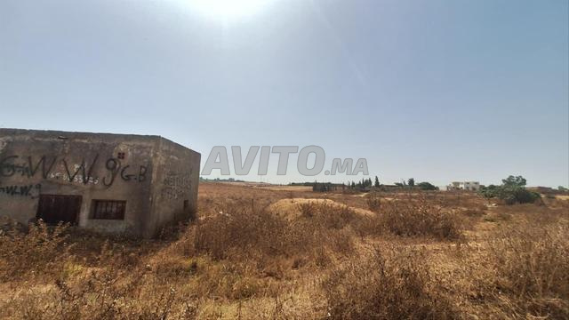 Terrain de 20 000 m² à vendre – Sidi Moussa Majdoub
