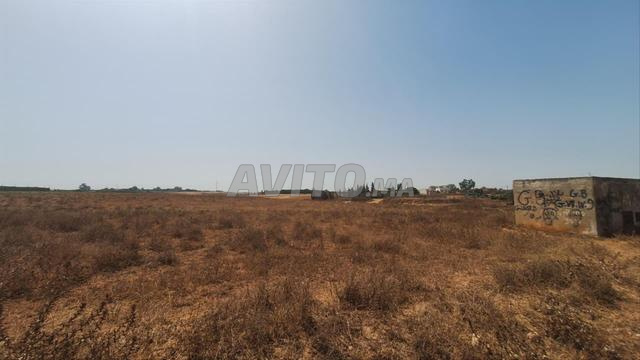 Terrain de 20 000 m² à vendre – Sidi Moussa Majdoub