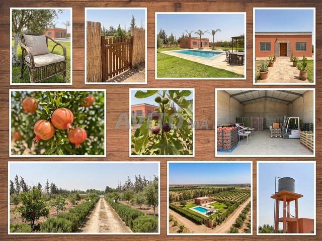 À louer Villa - Ferme à Nouaceur de 5000m² - équipée - 2