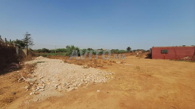 Terrain titré de 480 m² à vendre Aïn Tiki - 2