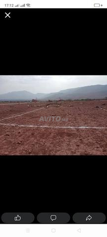 بقع أرضية خميس بني عياط - 2