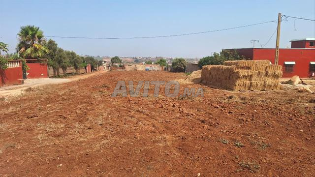Terrain titré de 1 700 m² à vendre à Aïn Tekki - 2