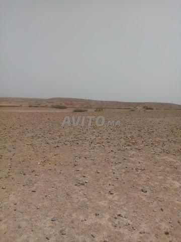 Terrain à vendre Propriété légale - 2