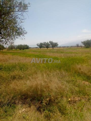 أرض مسجلة للبيع - 2