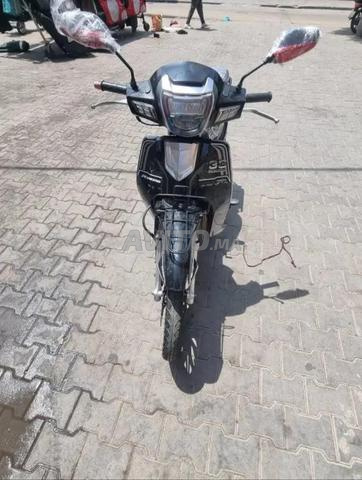 33 2024 Prix 8000 dirhams - 2