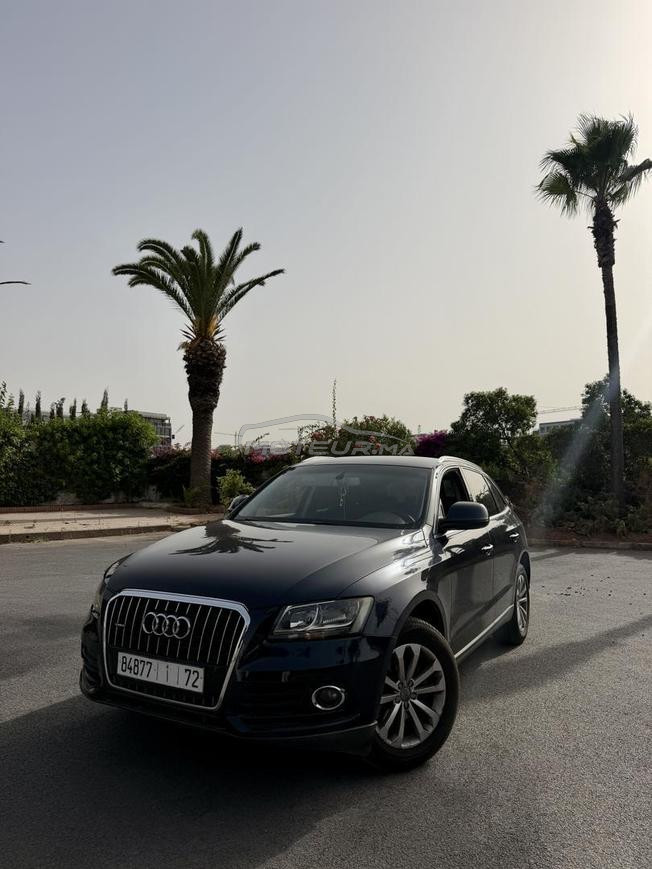 Audi Q5 2.0TDI 177cv 2015 