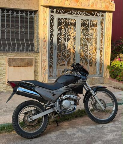Honda Falcon 400 - 2