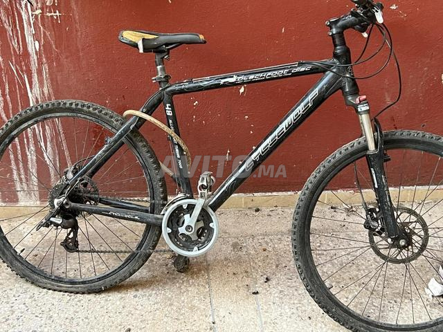 Vélos (VTT) - 2