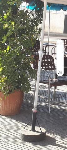 VENTE BELLES PLANTES