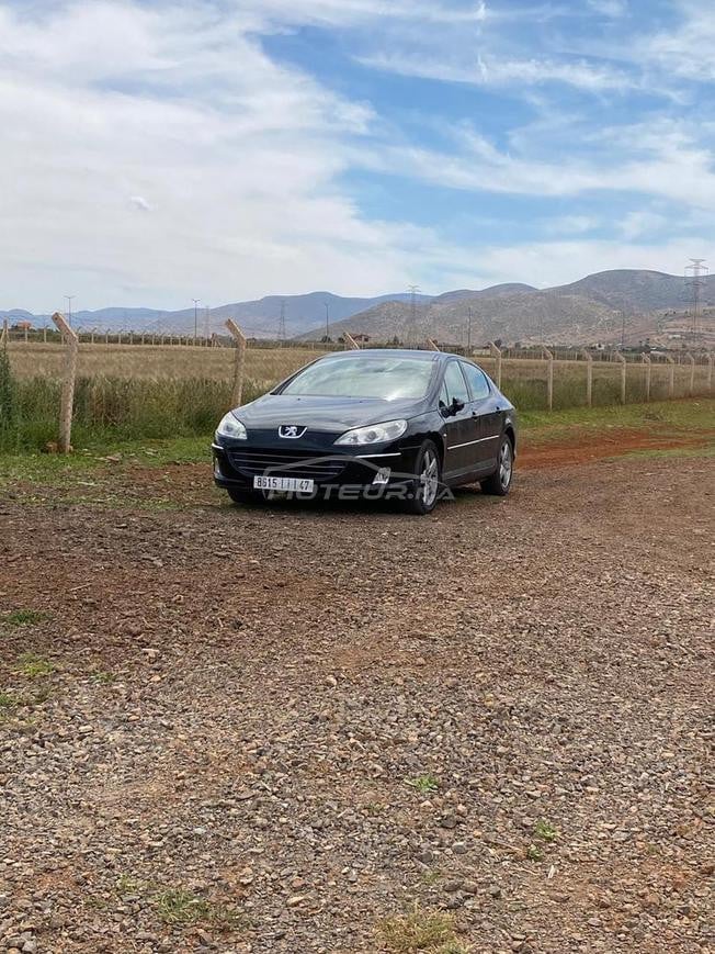 Peugeot 407.  2008 2L