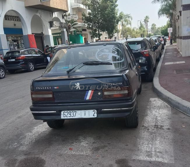 Peugeot 309  