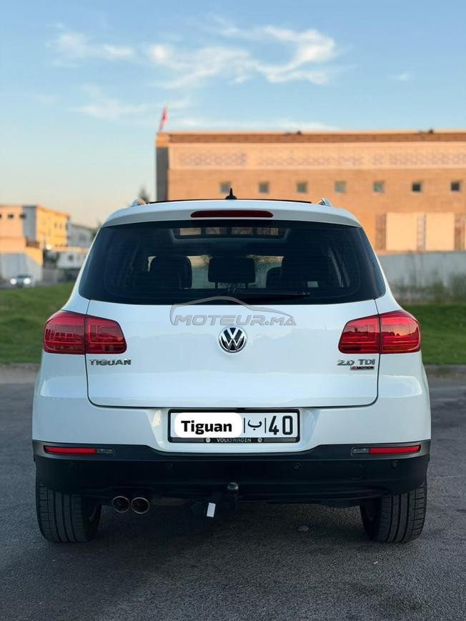 Tiguan 2018 montage America