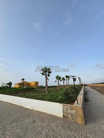 مزرعة للبيع - 2