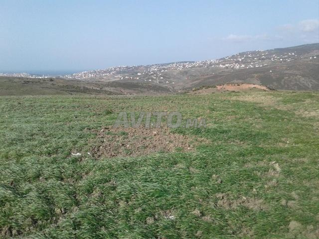 Terrain 7000 m² titre vue sur mer Feddan Chapo