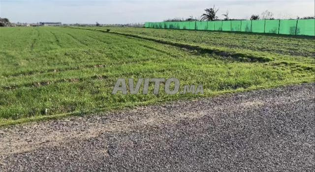 أراضي محفظة للسكن والاستثمار بير جديد - 2
