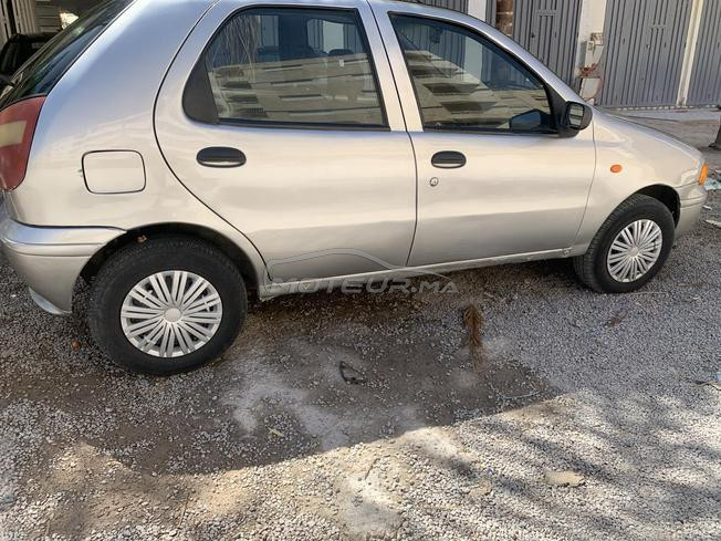 palio 2002 