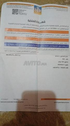 أرض معتمدة للبيع - 2