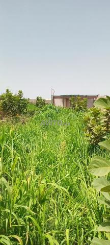 بلفاع مزرعة للبيع - 2