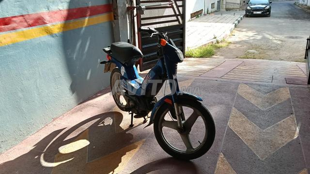 Fox Peugeot - 2