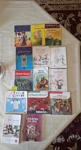 Lot de romans à vendre (30 dhs l'unité)