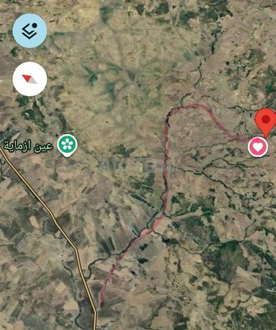 Terrain agricole 4.9ha entre Tanger et Tétouan - 2