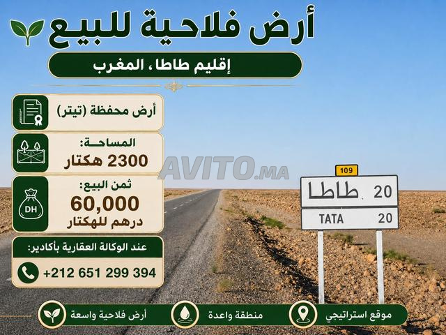 أرض فلاحية مُحفظة 2300 هكتار إقليم طاطا المغرب