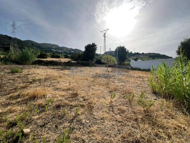 Terrain Ksar Sghir à vendre
