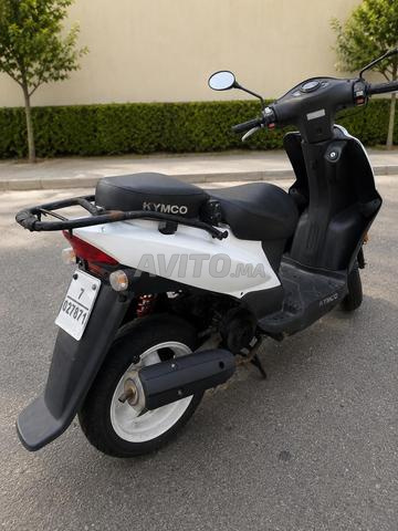 Kymco – Année 2019 - 2