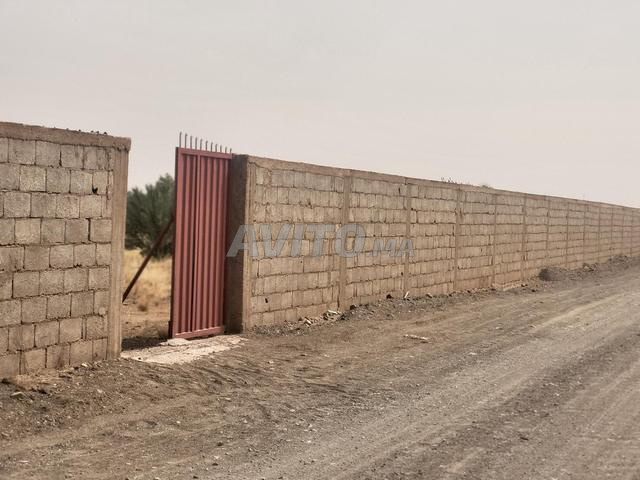 مزرعة/أرض - 2