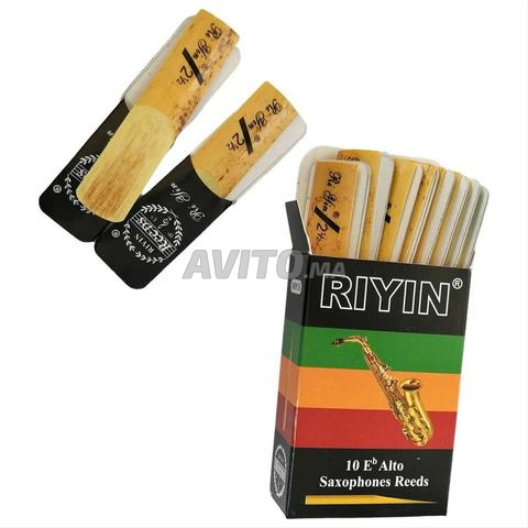 Anches Pour Saxophone Alto 2,5 - 2