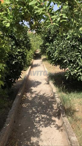 Villa avec jardin et piscine – 35 km d'Essaouira