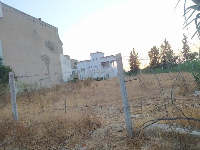 أرض 331 متر - 2