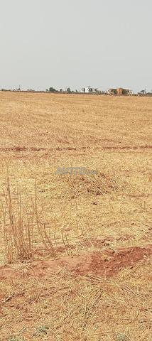 أرض فلاحية ممتازة نواحي برشيد