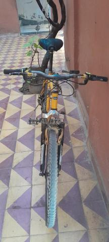 Vélo a besoin juste d'une selle - 2