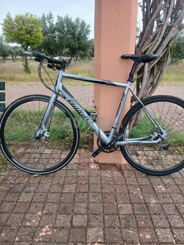 Wilier Triestina - 2