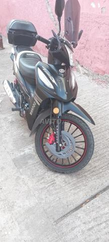 Moto Docker - 2