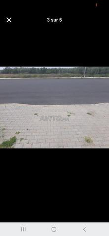 Terrain 80 m2 R Plus 3 Titre Azouzia - 2