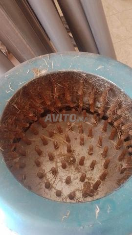 رياشة دجاج جودة عالية و ثمن مناسب - 2