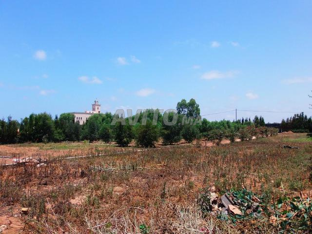 مزرعة صغيرة رائعة للبيع بمنطقة آزمور - 2
