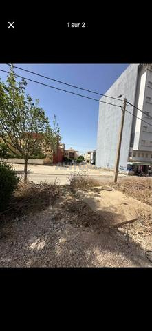 Terrain de 317m R6 route d'Oujda - 2