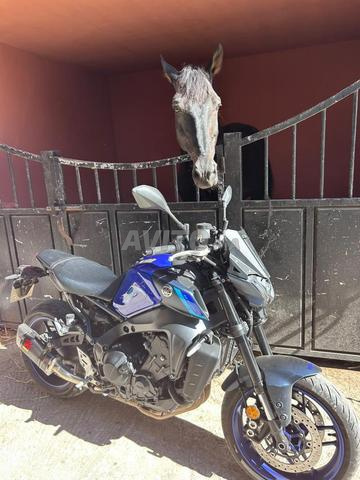 YAMAHA MT09