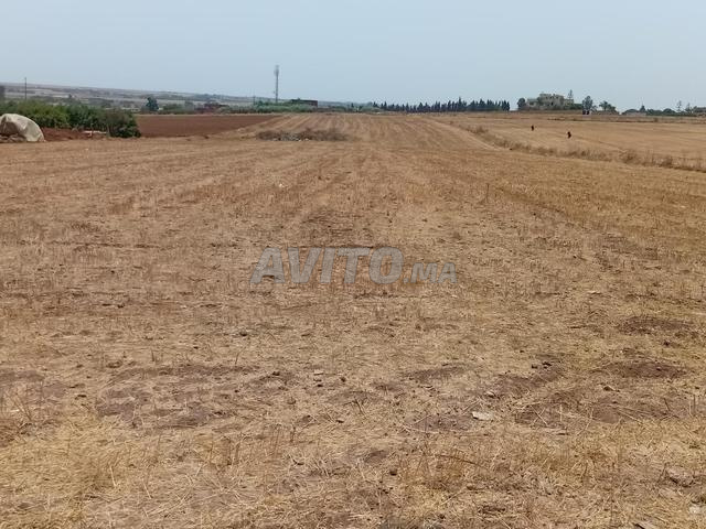 إقليم المحمدية - 2