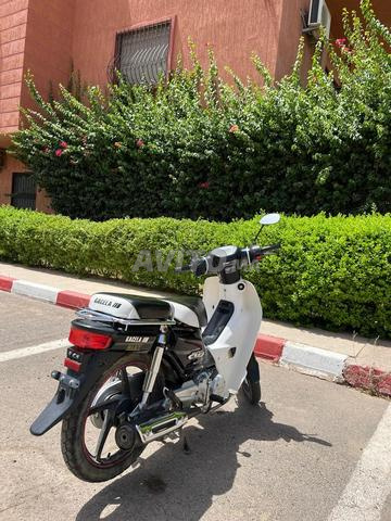 Moto Gacela III propre à vendre - 2