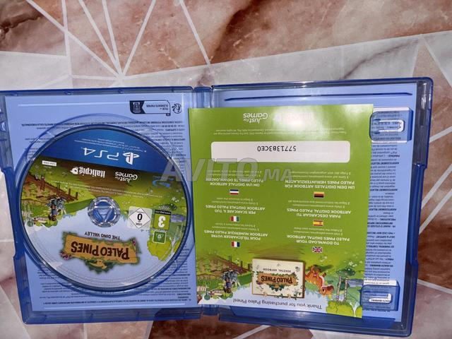 Paléo Pines pour PS4 - 2