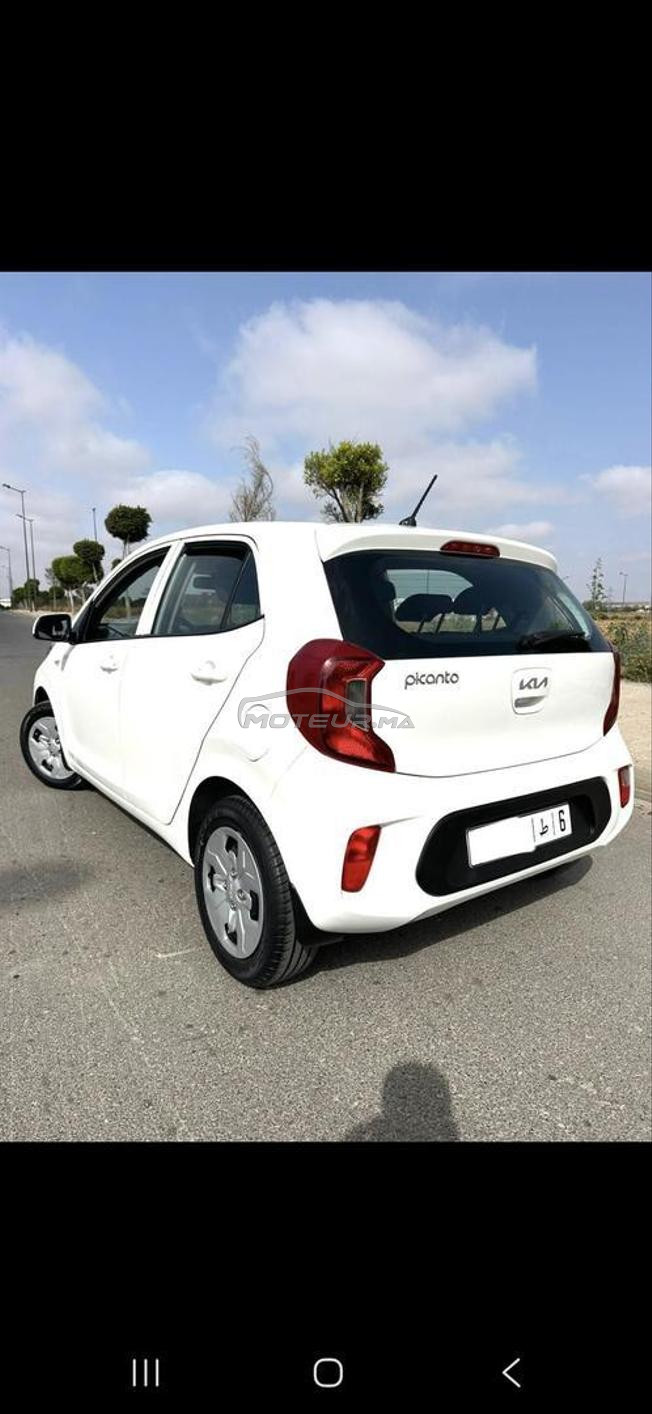 kia picanto