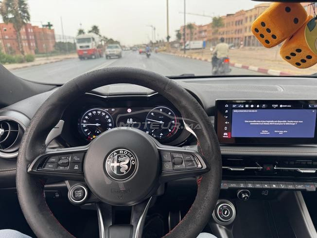 alfa Romeo nouf
