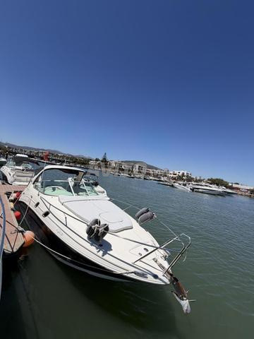 Sea Ray Sundancer