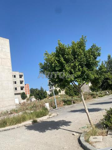 أرض للبيع في تجزئة المستقبل بمغوغة، طنجة - 2
